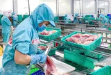 VASEP chỉ ra những “nút thắt” về thuế gây khó cho doanh nghiệp thủy sản