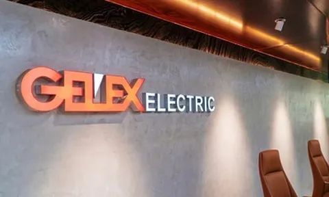 GELEX Electric xin ý kiến cổ đông về việc đổi tên doanh nghiệp