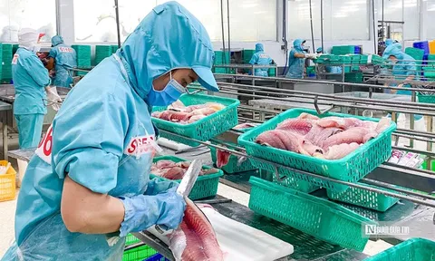 VASEP chỉ ra những “nút thắt” về thuế gây khó cho doanh nghiệp thủy sản