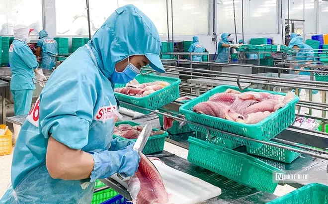 VASEP chỉ ra những “nút thắt” về thuế gây khó cho doanh nghiệp thủy sản